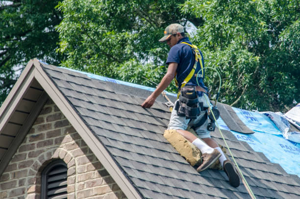 Best Roof Maintenance Services  in Santee, CA